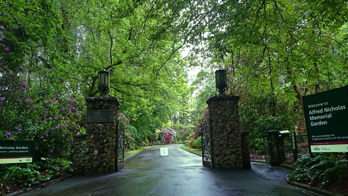 Alfred Nicholas Gardens Sherbrooke, Dandenong Ranges