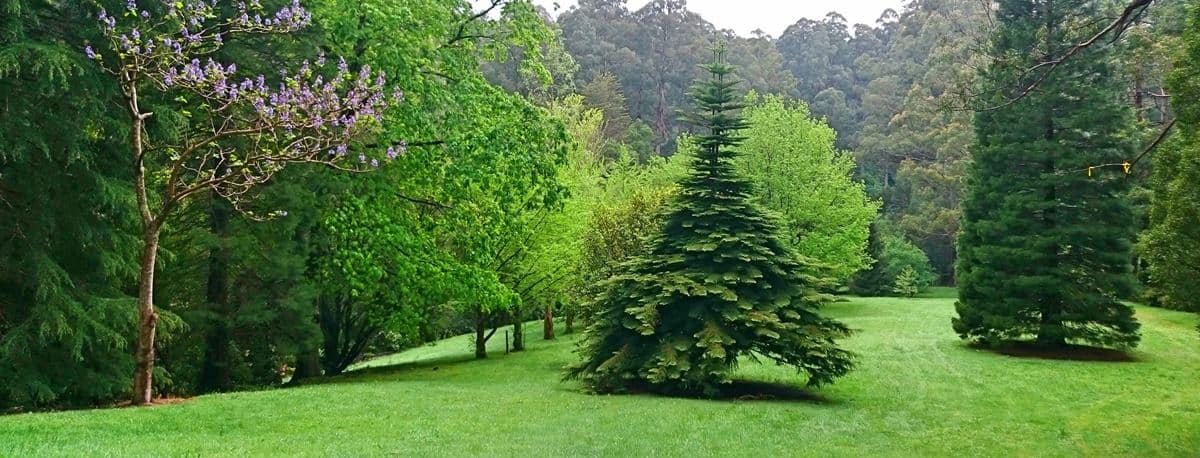 Alfred Nicholas Gardens Sherbrooke, Dandenong Ranges