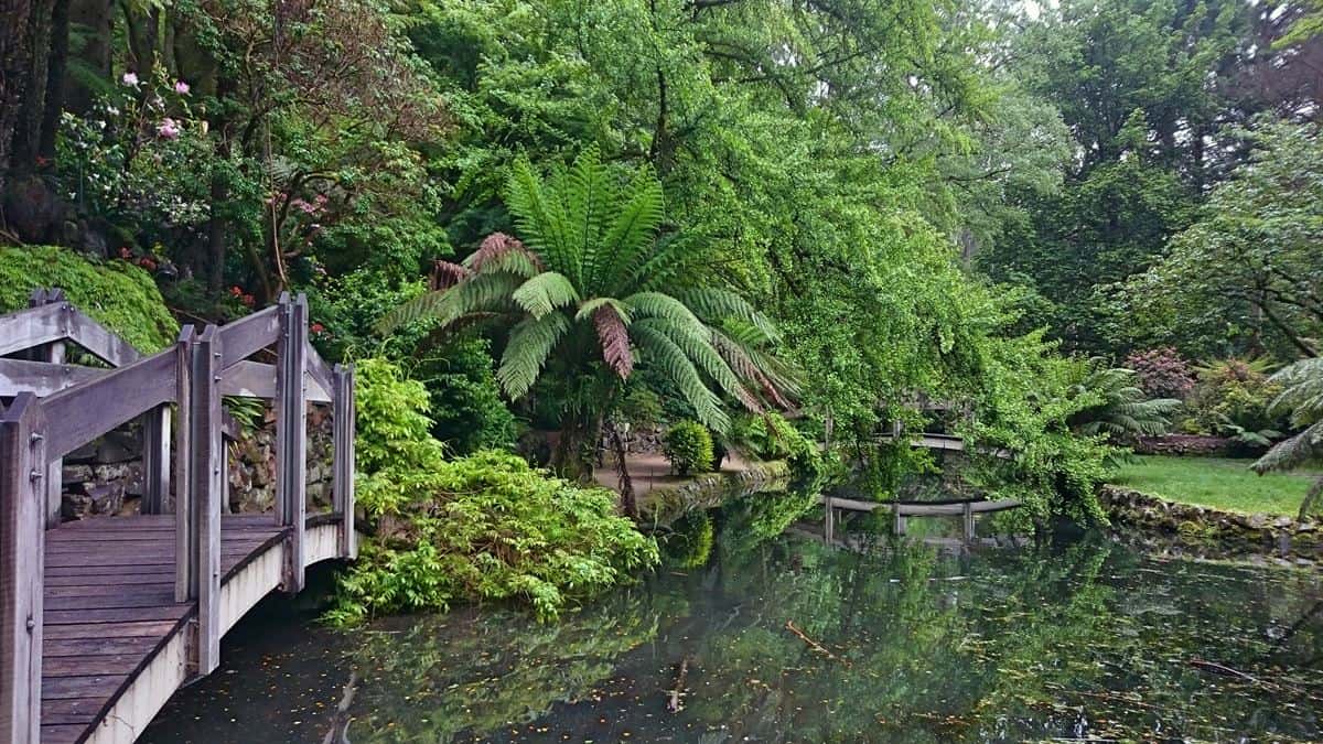 Alfred Nicholas Gardens Sherbrooke, Dandenong Ranges