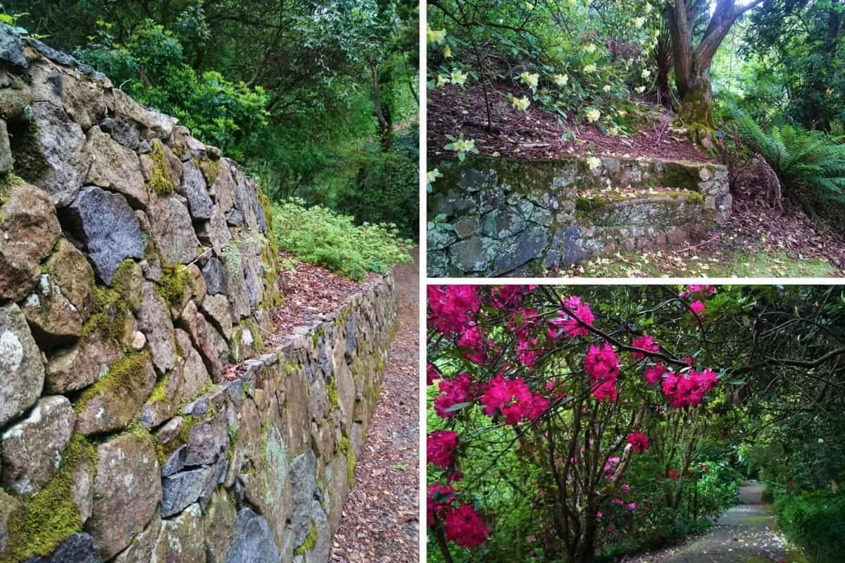 Pirianda Gardens, Olinda. Dandenong Ranges, Australia