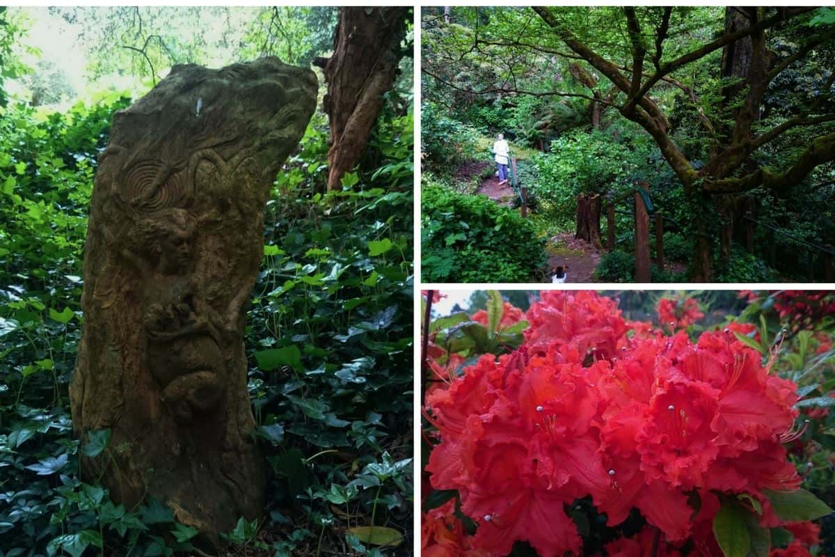 Pirianda Gardens, Olinda. Dandenong Ranges, Australia