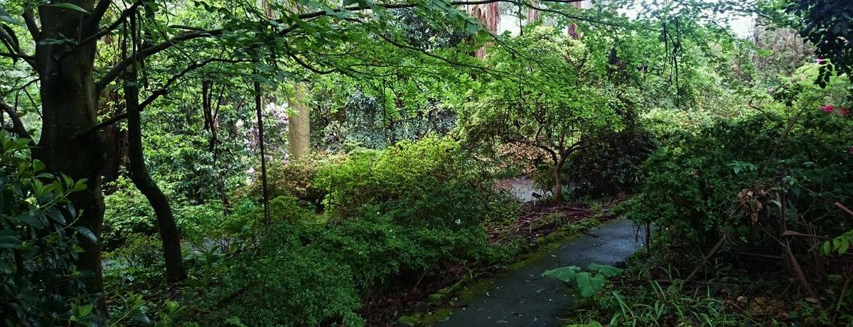 George Tindale Gardens Sherbrooke Dandenong Ranges