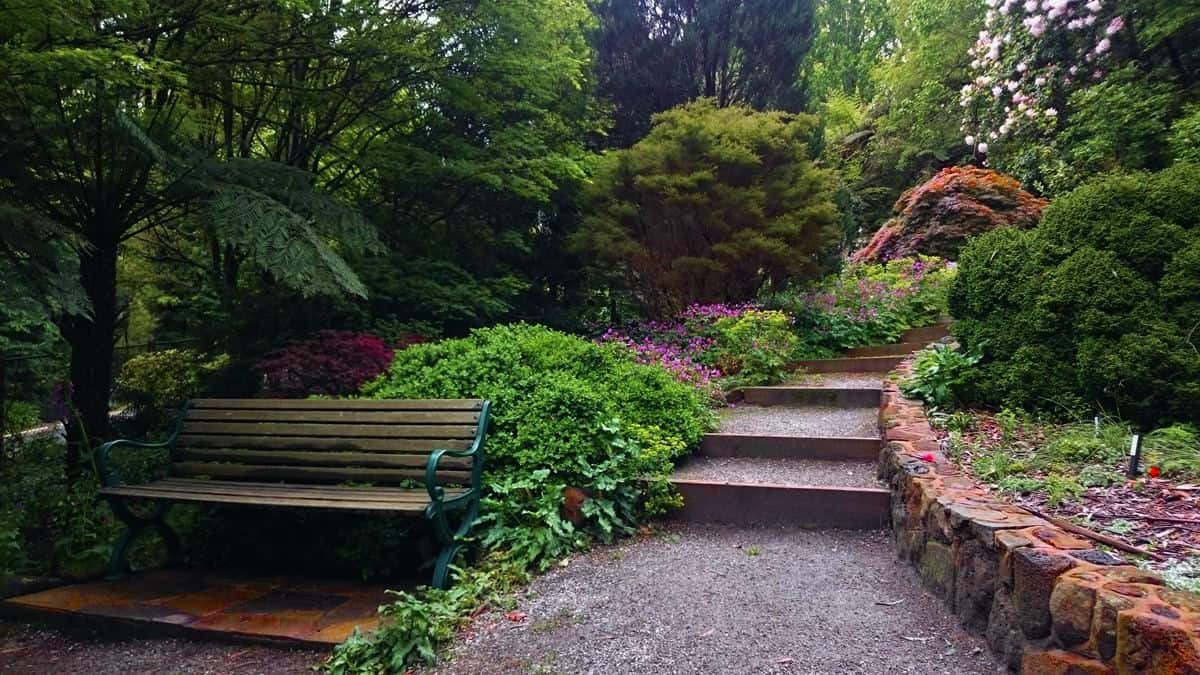 George Tindale Gardens Sherbrooke Dandenong Ranges