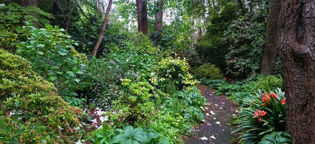 George Tindale Gardens Sherbrooke Dandenong Ranges