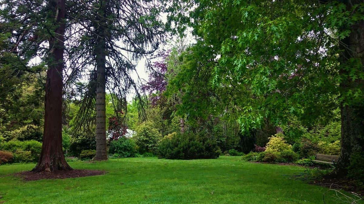 George Tindale Gardens Sherbrooke Dandenong Ranges