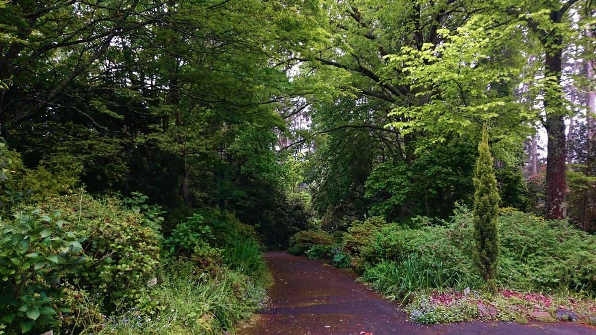 George Tindale Gardens Sherbrooke Dandenong Ranges