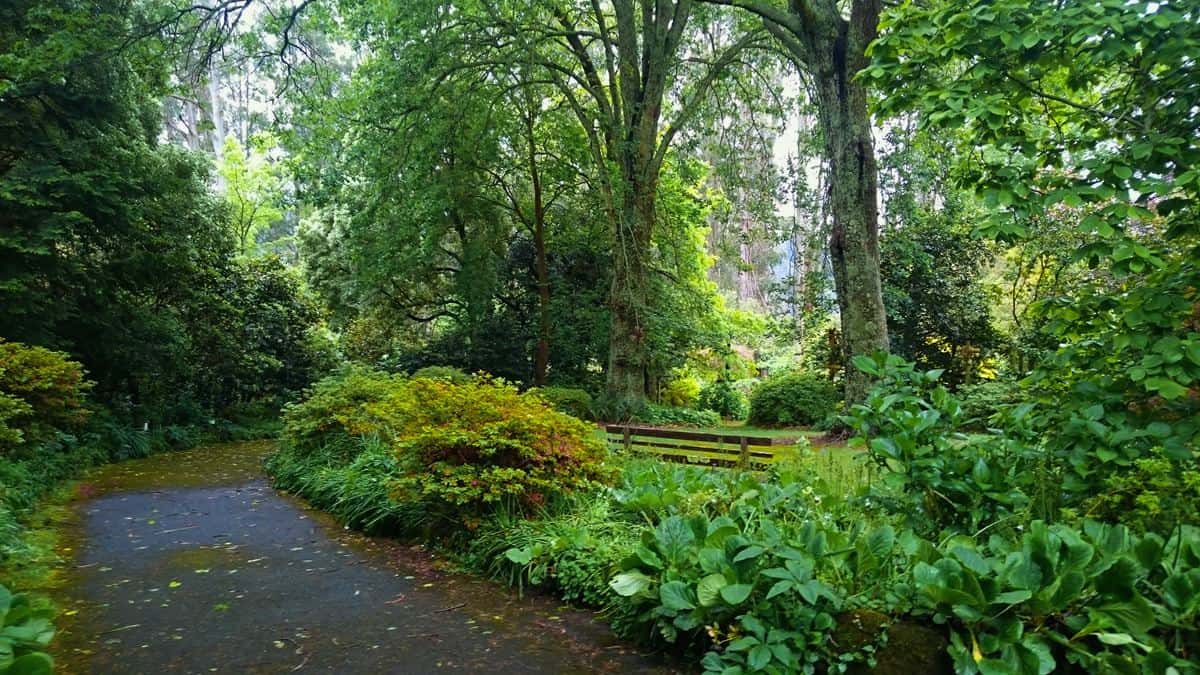 George Tindale Gardens Sherbrooke Dandenong Ranges