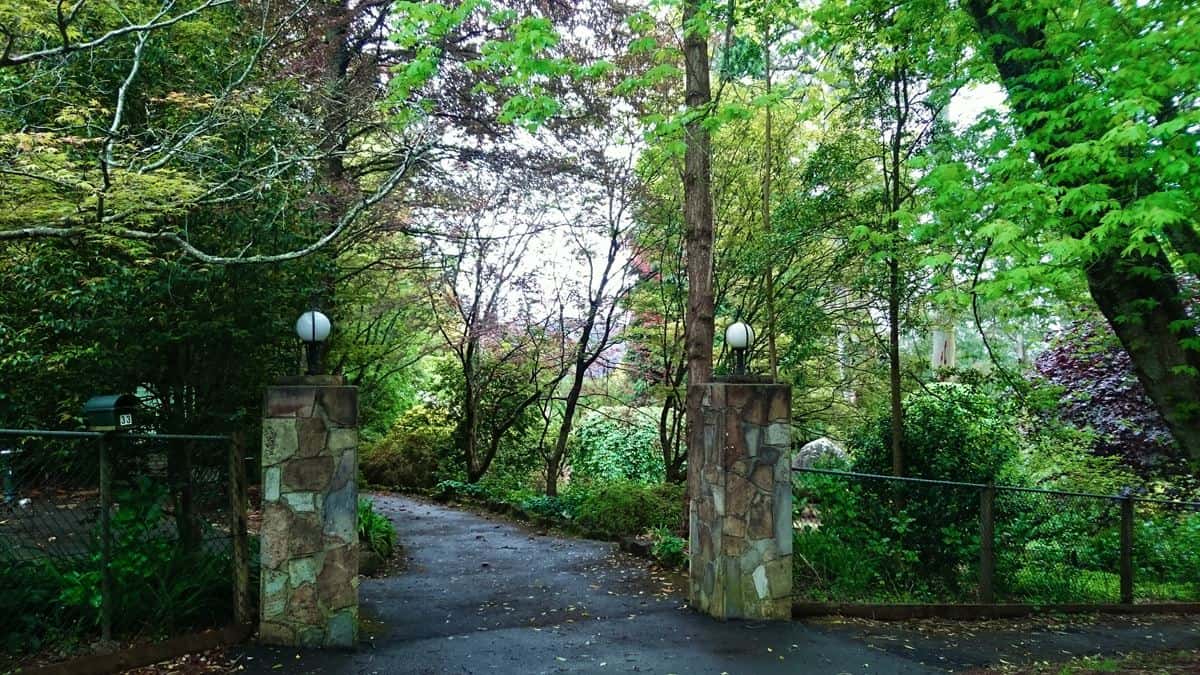 George Tindale Gardens Sherbrooke Dandenong Ranges