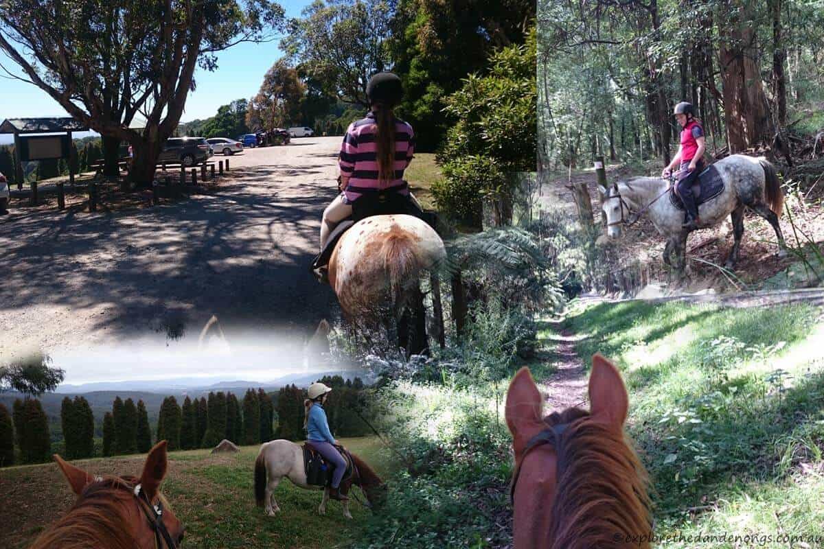 Horse riding Trails in the Dandenong Ranges