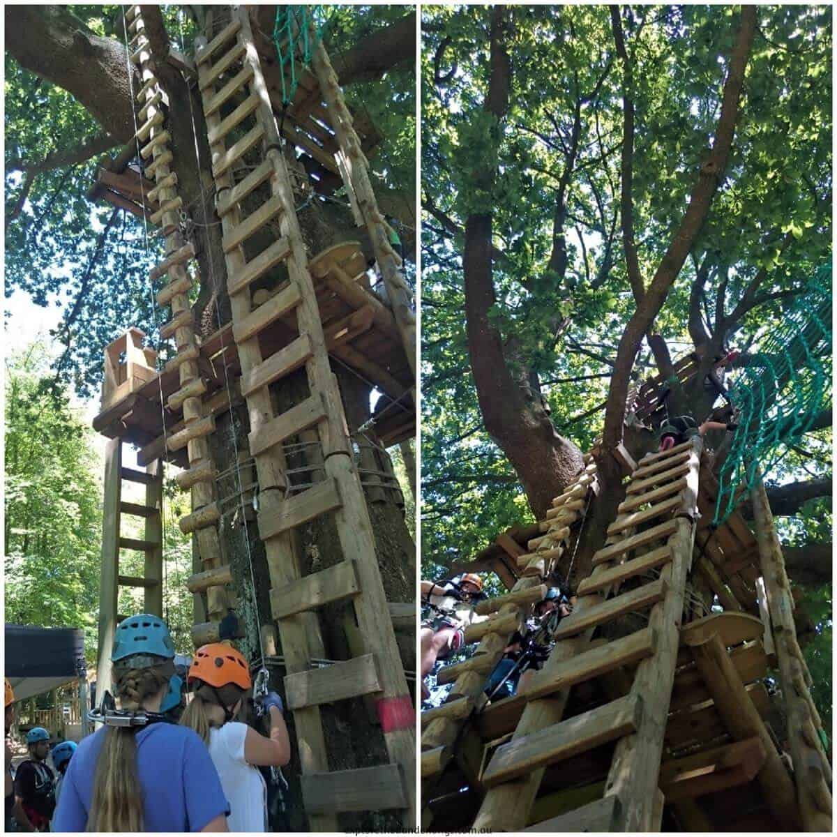 Trees Adventure Park Belgrave - Tree Surfing at Glen Harrow Park