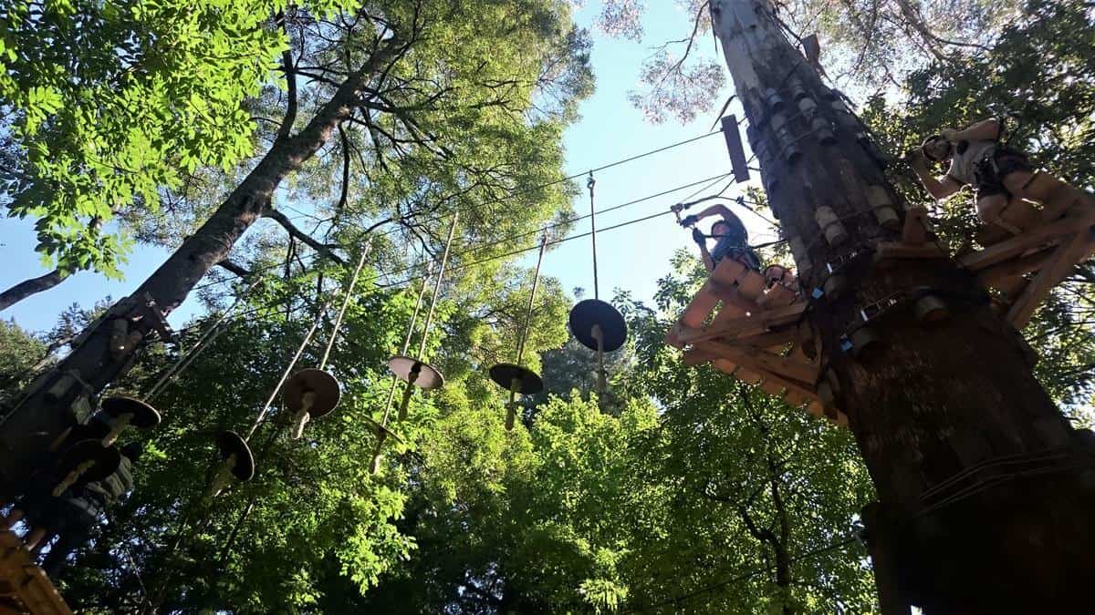 Trees Adventure Park Belgrave - Tree Surfing at Glen Harrow Park