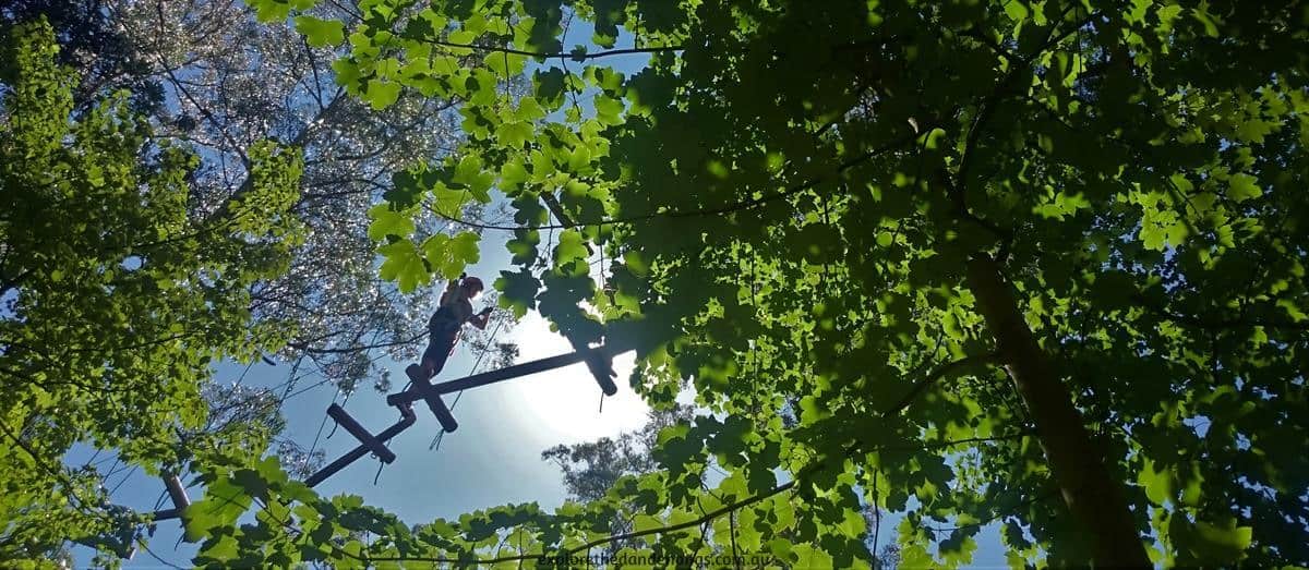 Trees Adventure Park Belgrave - Tree Surfing at Glen Harrow Park