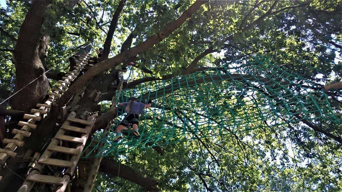 Trees Adventure Park Belgrave - Tree Surfing at Glen Harrow Park