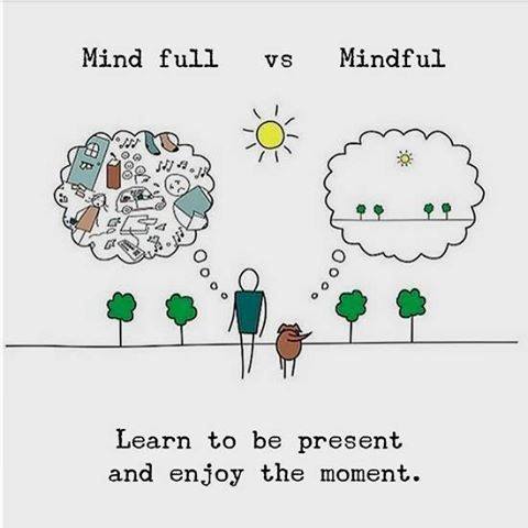 Mindful vs Mind Full