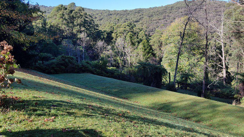 Looking down the terraced lawns of Doongalla Homestead in the One Tree Hill direction