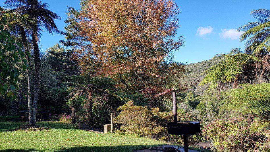 Autumn colour in the Doongalla Homestead gardens. Dandenong Ranges National Park