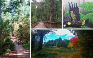 Emerald to Gembrook Multi Use Walking and Bike Riding Trail