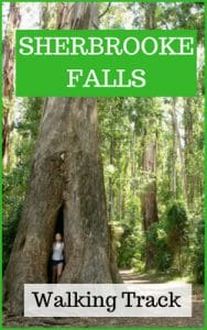 Sherbrooke Falls, Dandenong Ranges