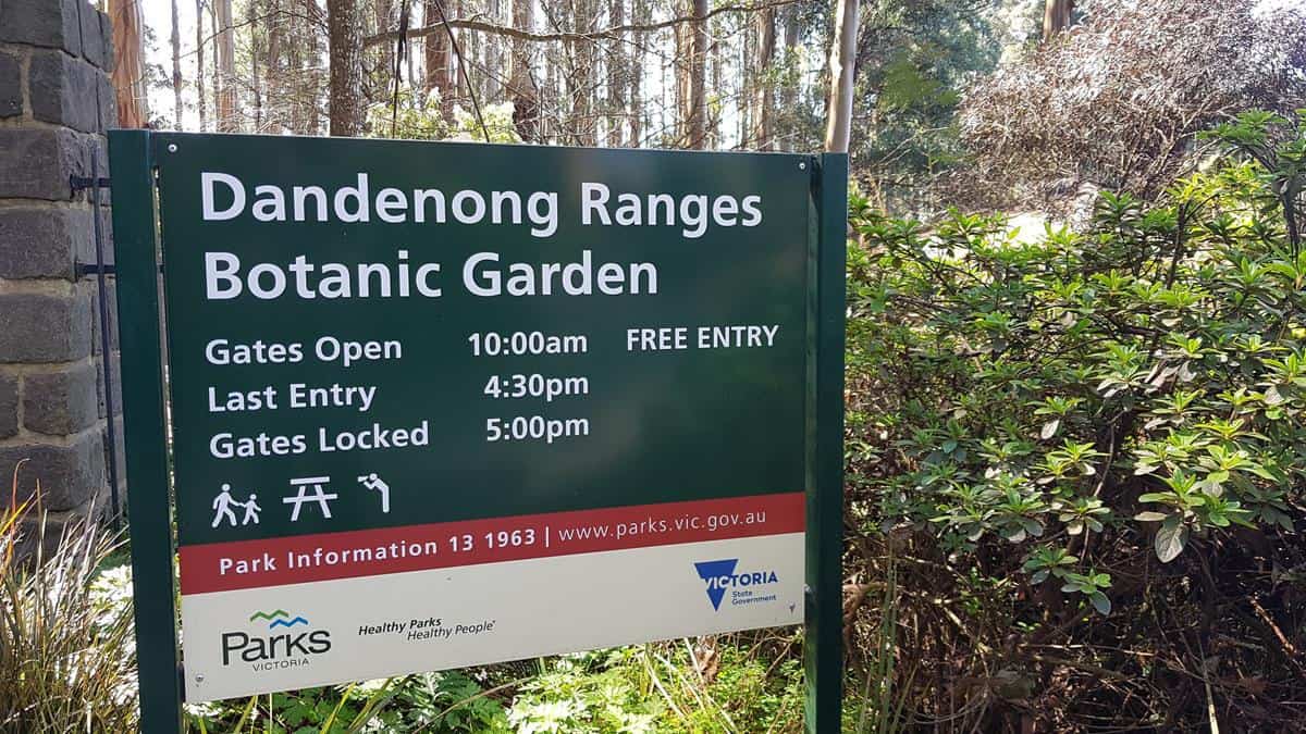 Dandenong Ranges Botanic Garden | National Rhododendron Gardens Olinda