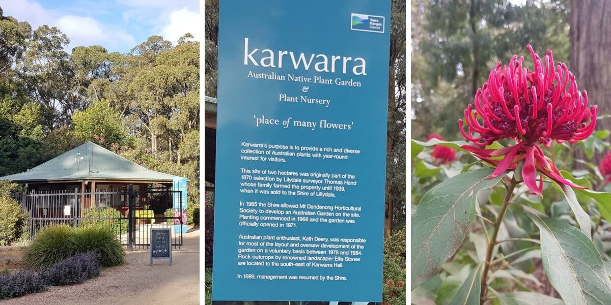 Kawarra Australian Native Plants and Trees Kalorama