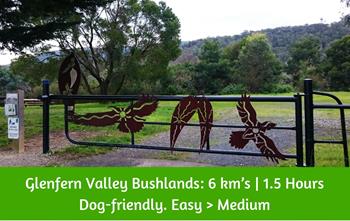 Glenfern Valley Bushlands_ 6 km’s _ 1.5 Hours Dog-friendly Easy _ Medium walk Dandenong Ranges