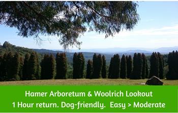 Hamer Arboretum Woolrich Lookout Walk. Dog Friendly 1 hour.