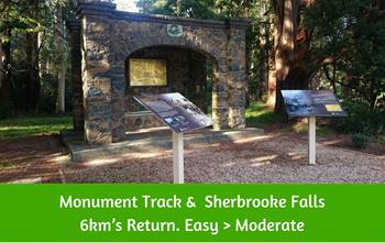 Monument Track_ Sherbrooke Falls_ Sherbrooke Forest – 6km’s Return Easy _ Moderate walk. Dandenong Ranges