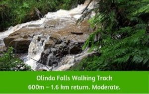 Olinda Falls Walking Track Dandenong Ranges