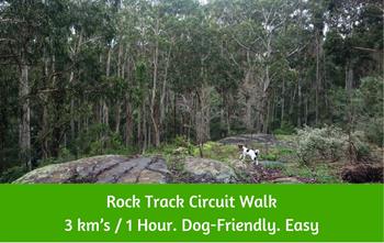 Rock Track Circuit Walk Dandenong Ranges