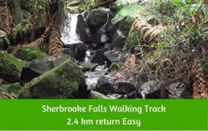 Sherbrook Falls Walking Track Dandenong Ranges
