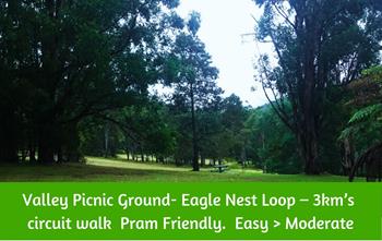 Valley Picnic Ground, Eagle Nest Loop circuit walk Pram Friendly,Dandenong Ranges
