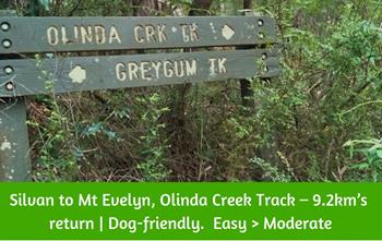 Silvan to Mt Evelyn, Olinda Creek Track. Dandenong Ranges