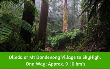 Olinda or Mt Dandenong Village to SkyHigh. One-Way_ Approx. 9-10 km’s. Dandenong Ranges