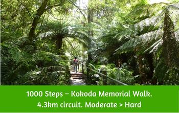 1000 Steps Dandenong Ranges. Kokoda Memorial Walk