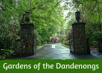 Best Gardens in the Dandenong Ranges, Australia