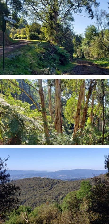 Views across the Yarra Valley from Mathias Track in the Dandenong Ranges