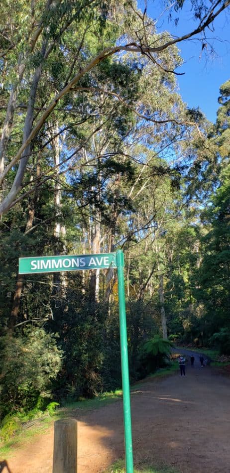 Hikers on Mathias Track in the Dandenong Ranges