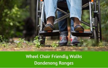 Wheelchair walking trails Dandenong Ranges