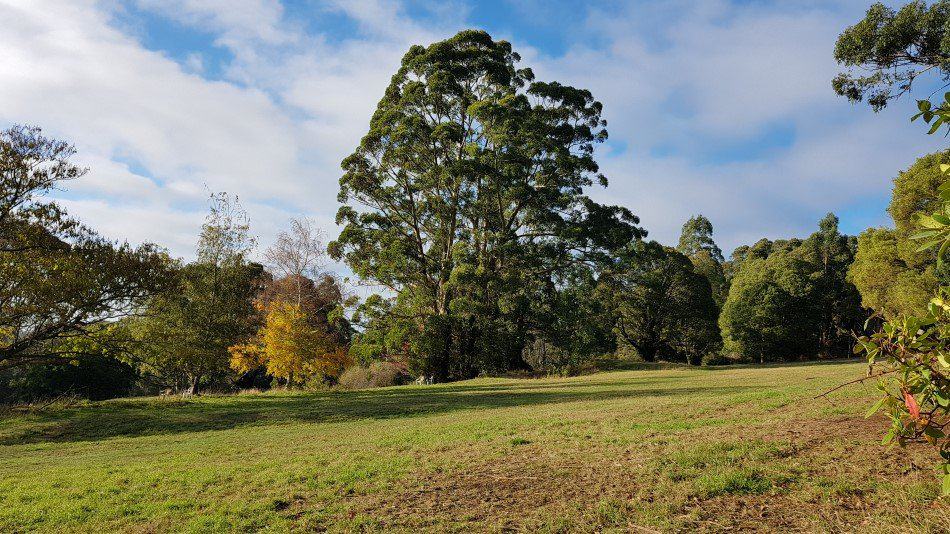 Image of the view from the Olinda Golf Course