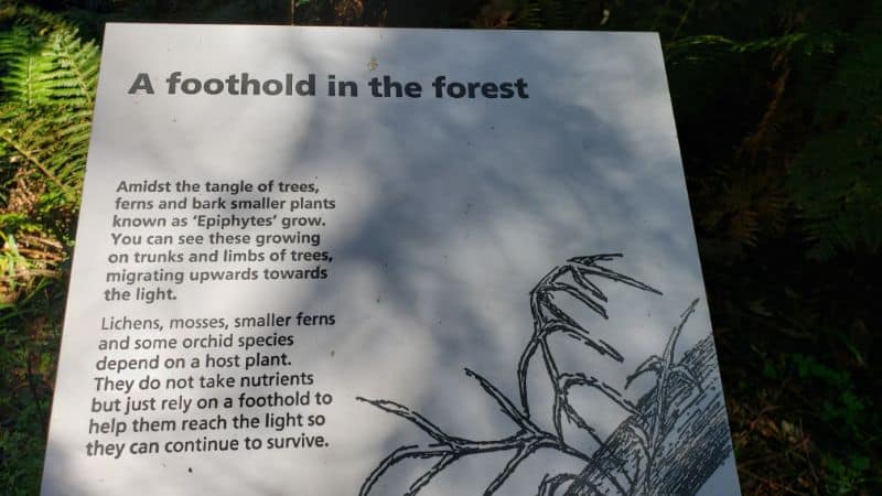Signage in the Sherbrooke Forest