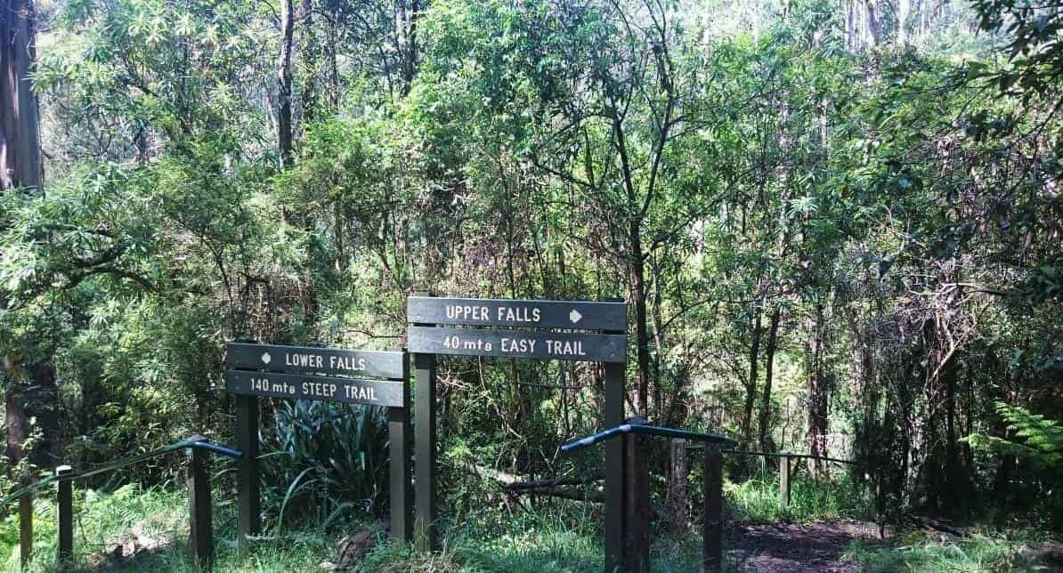 Olinda Falls, Upper and lower viewing areas, Dandenong Ranges National Park