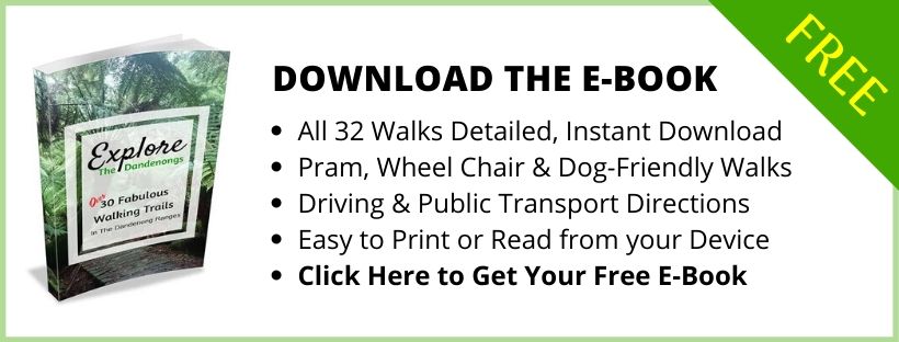 Free Download- Bushwalks in the Dandenong Ranges