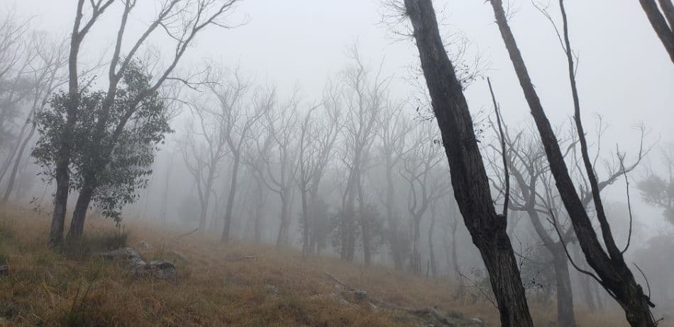 Heading up the Fire Trail