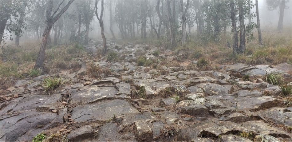 Steep, rocky and a brilliant workout, The Fire Trail / Glasgow Track